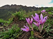 In RESEGONE, Punta Cermenati 1875 m, da Fuipiano-27sett22- FOTOGALLERY